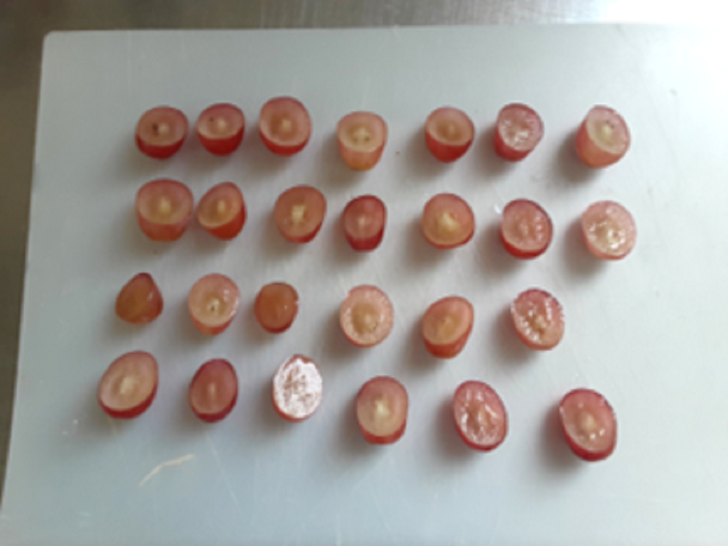 作り方の参考画像