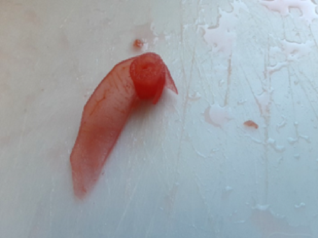 作り方の参考画像