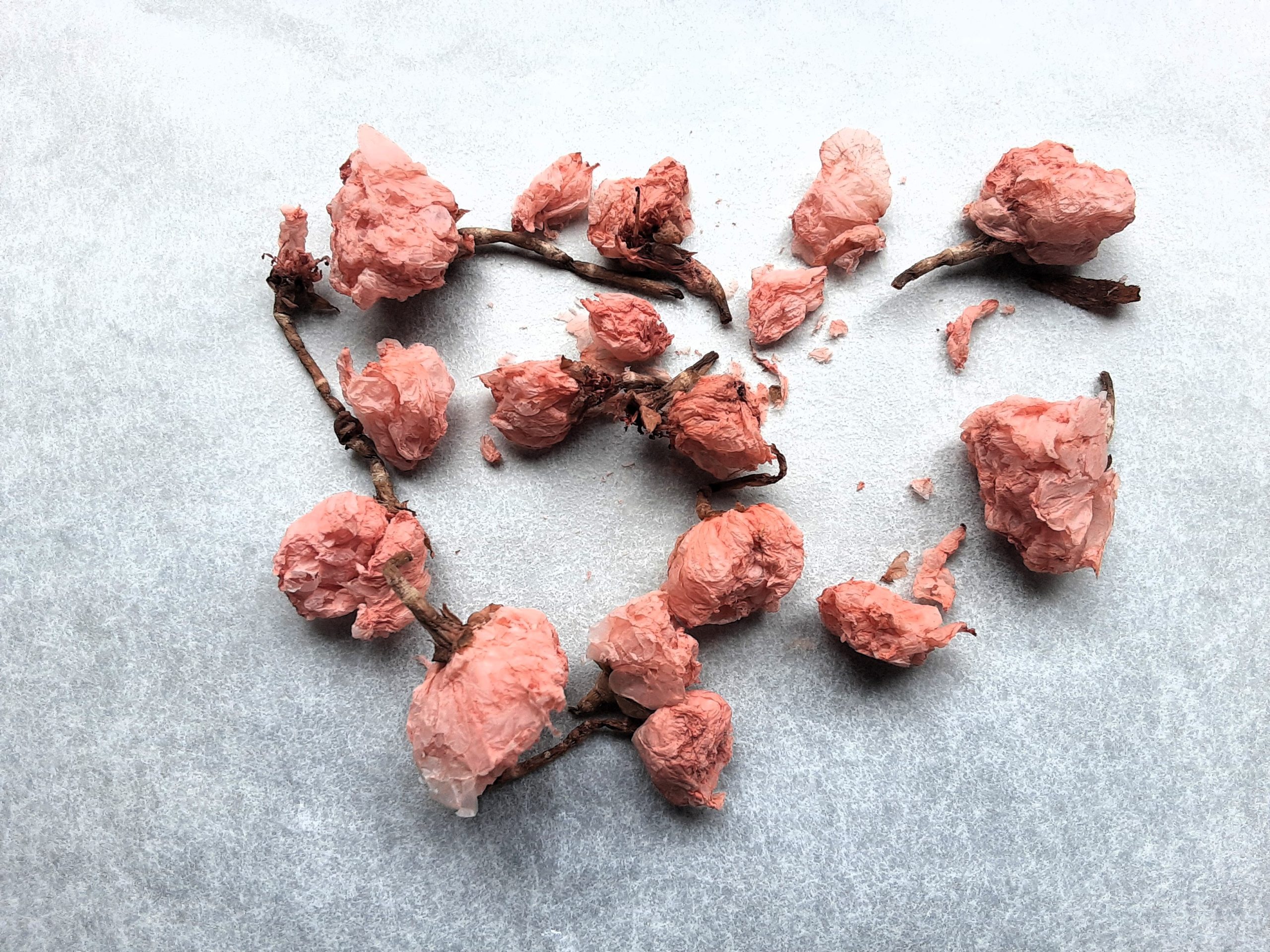 作り方の参考画像