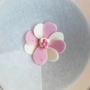 チョコペン花手順