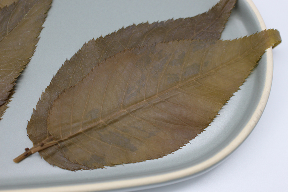 作り方の参考画像